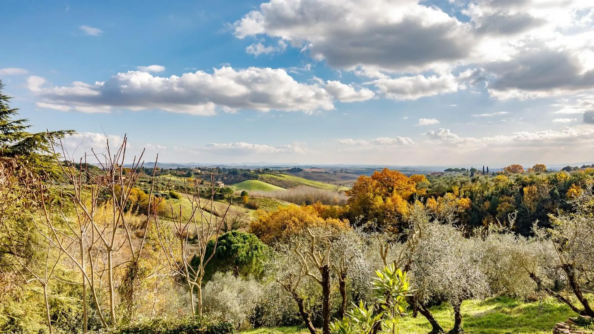 Porta Romana Elegant Apartments With Private Parking! Siena